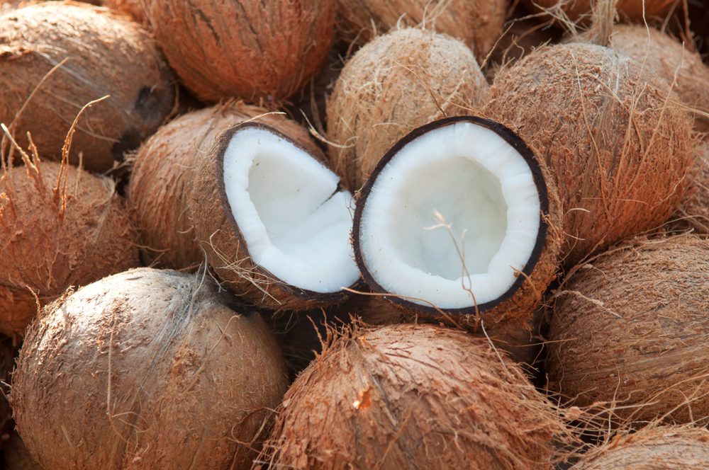 Split coconuts, the raw material behind every cocopeat product
