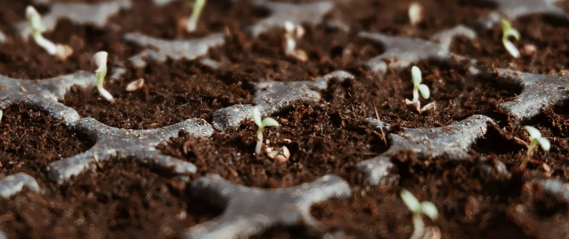 Commercial farms and nurseries